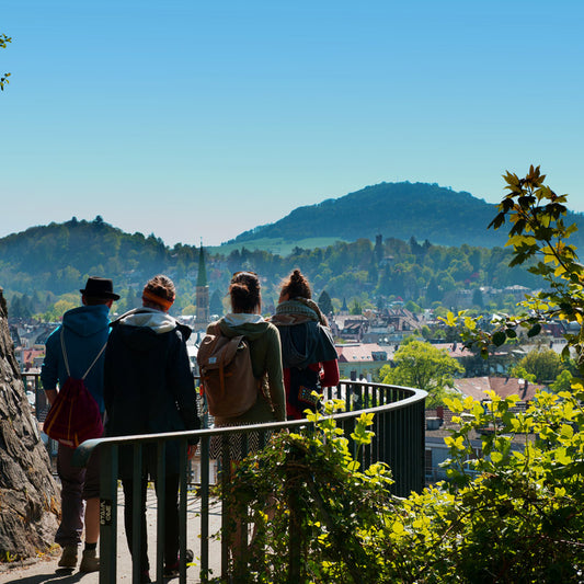 SCHAFlos in Freiburg - Event