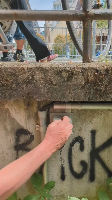 Denk mal SCHAF in Freiburg